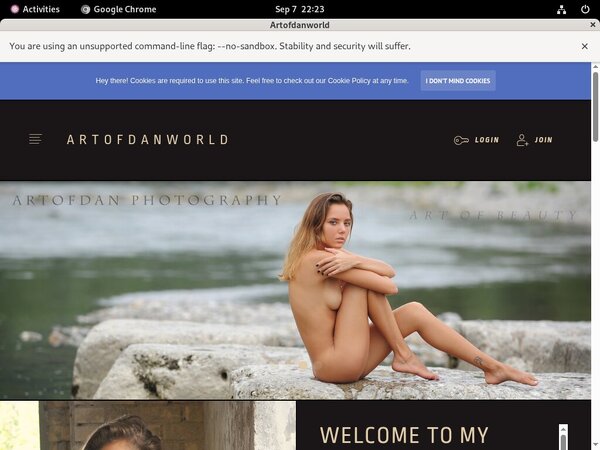 Account For Artofdanworld.com