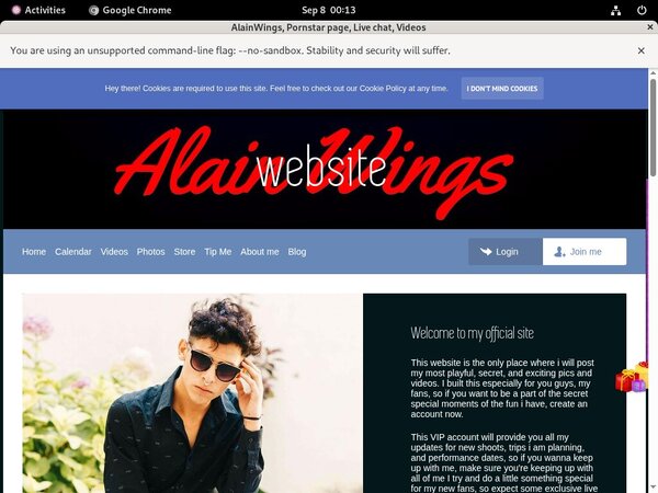 AlainWings Passwords Blog