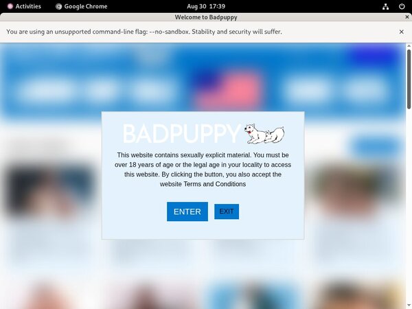 Badpuppy Checkout Form