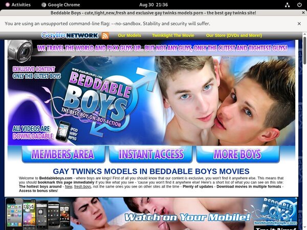 Beddable Boys Paypal Access