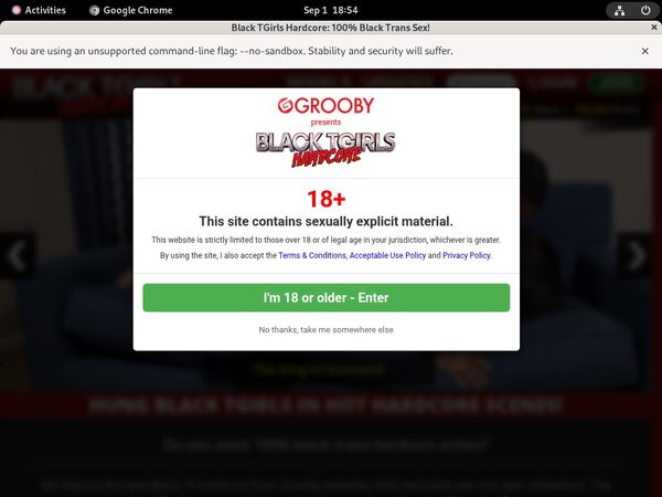 Black TGirls Hardcore Official Site