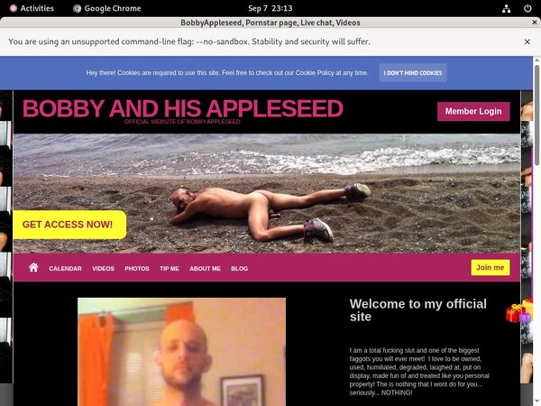 Bobbyappleseed.modelcentro.com Account List