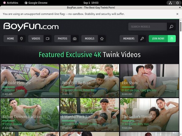 Boyfun Using Discount