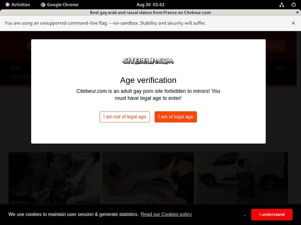 Citebeur Mobile Passwords