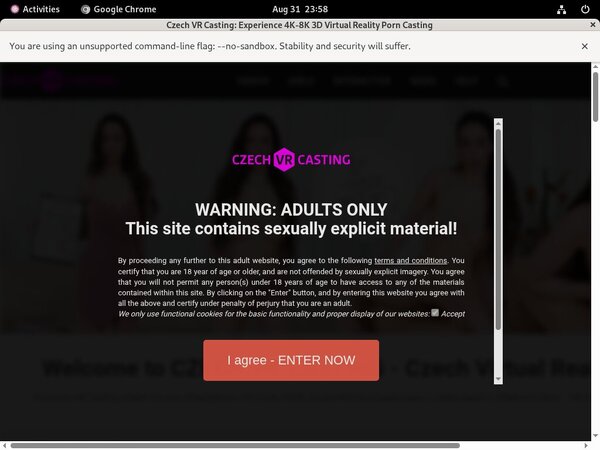 Czech VR Casting ?? ??