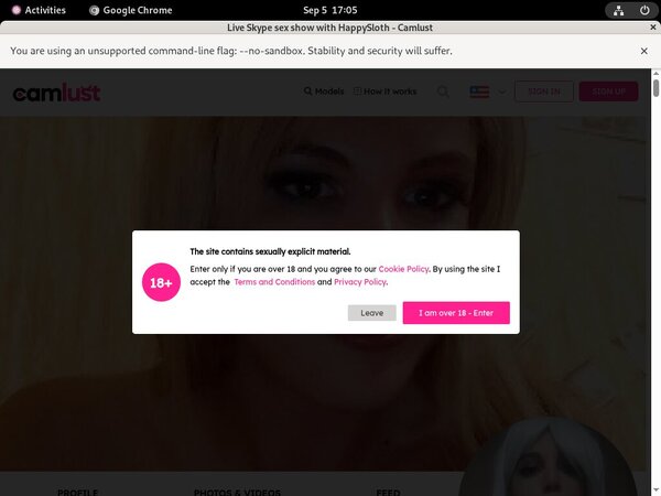 Free Accounts To Camlust.com