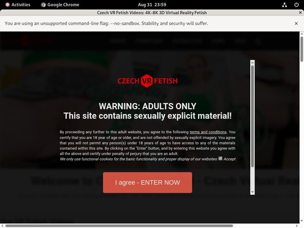 Free Czechvrfetish.com Hacked Passwords