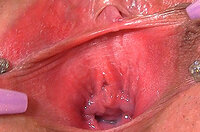 Gape My Pussy Discount Coupon s6