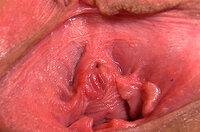 Gape My Pussy Discount Promo s2