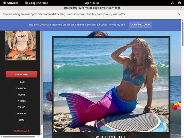 How Much Does Strawberry19 Cost