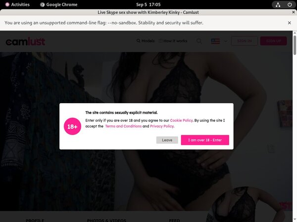 How To Get Into Camlust.com