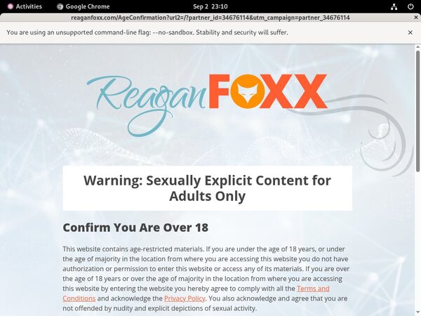 How To Get Reaganfoxx Account