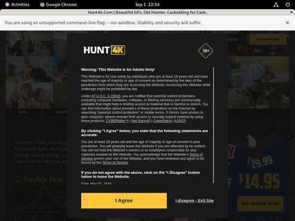 Hunt 4k 1080p