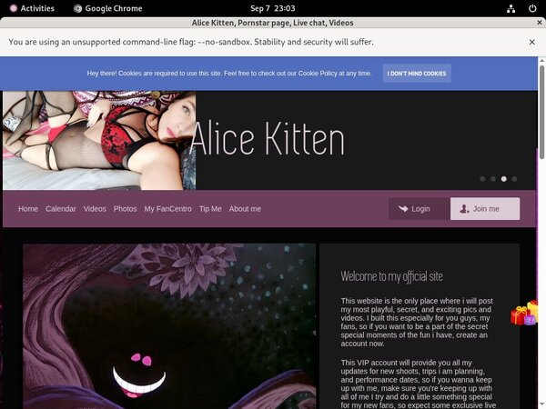 Kitten Alice Login Account
