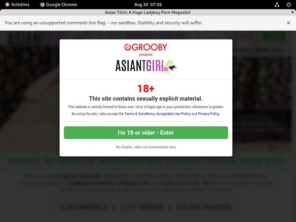 Ladyboy Ladyboy Without Paying