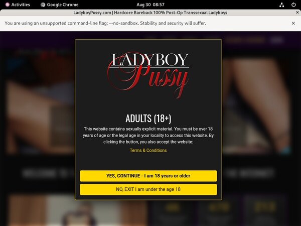 Ladyboy Pussy By SMS