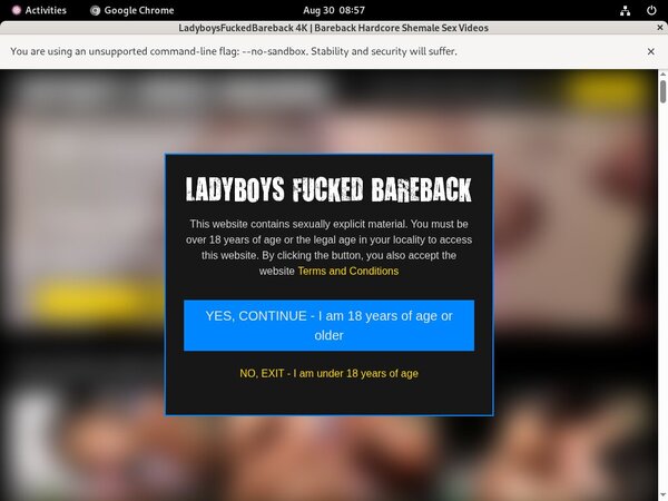 Ladyboys Fucked Bareback Account Information
