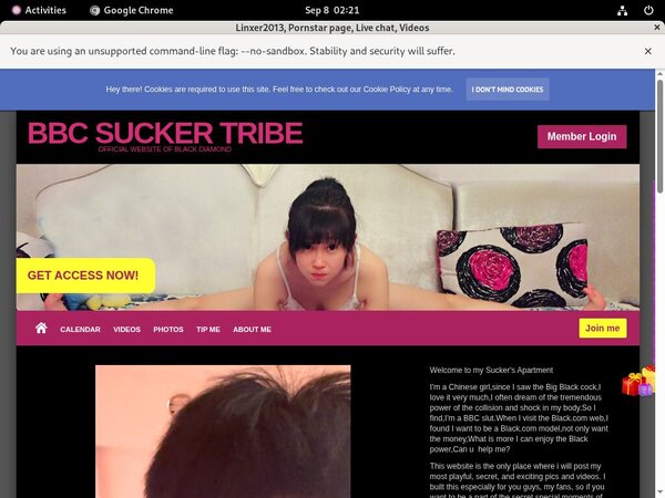 [Image: Linxer2013-Limited-Offer.jpg]