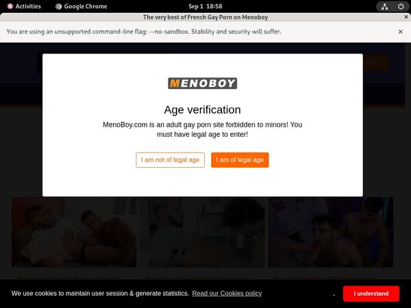 Meno Boy Site Passwords