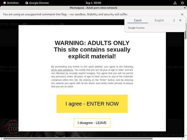 Mental Pass Streaming