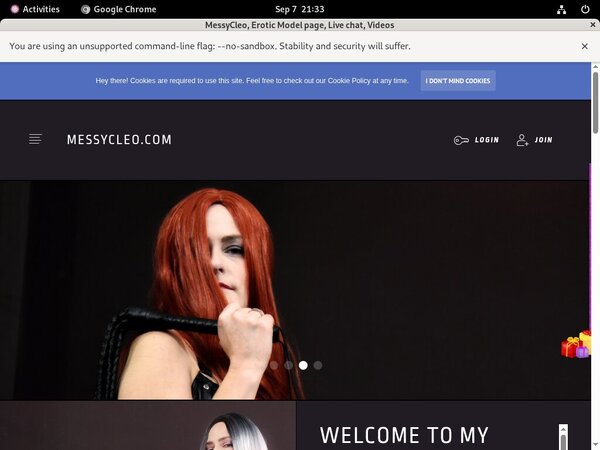 Messycleo.com Using Pay Pal