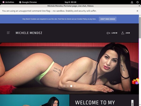 Michele Mendez Automatische Incasso
