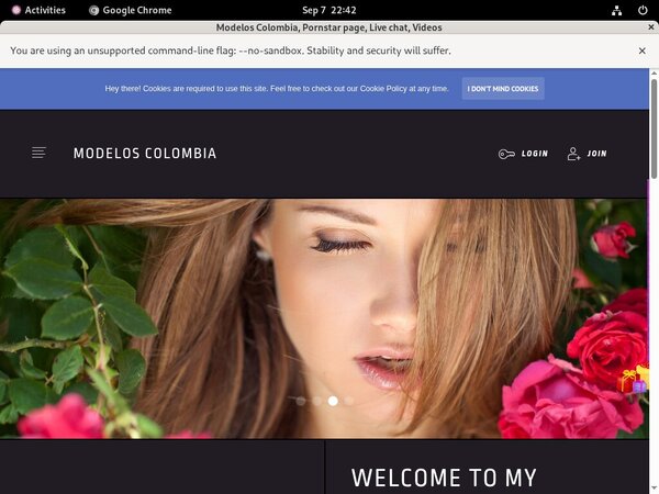 Modelos Colombia Trial Access