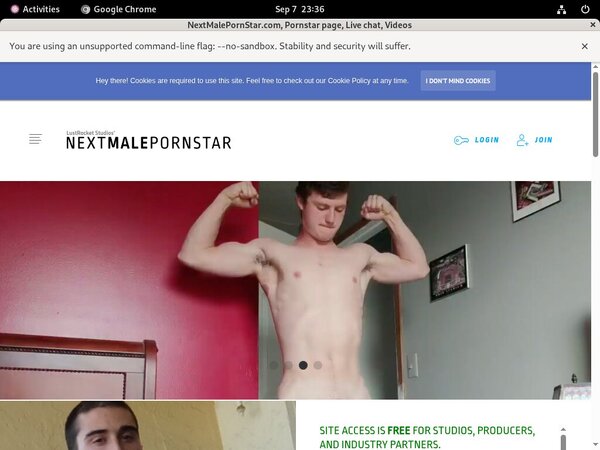 NextMalePornStarcom Free Movies