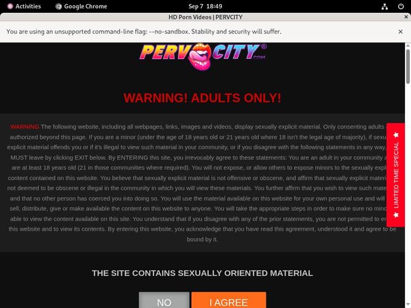 Perv City Telephone Billing