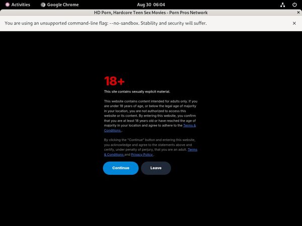 Porn Pros Network Wire Payment