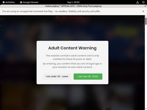 Promo Code Hello Ladyboy