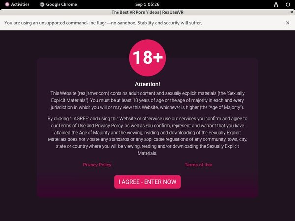 Realjamvr.com Image
