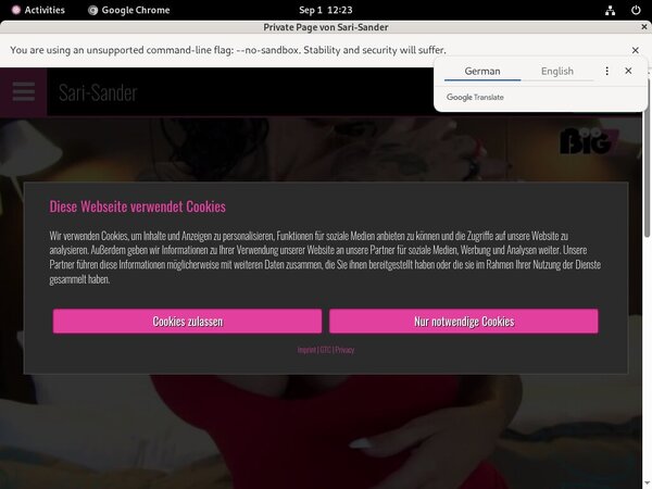 Sari Sander Sign