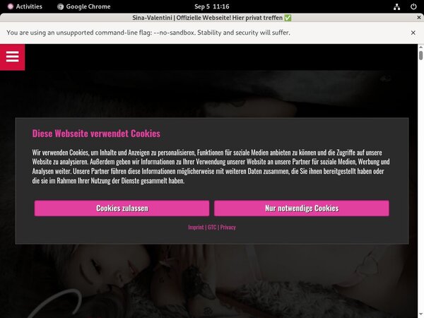 Sina Valentini Discount Lowest