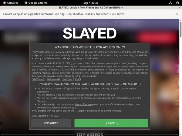 Slayed Free Premium