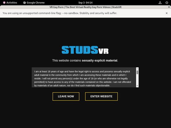 Studs VR Sex Hd