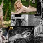 Subspace Land Daily Accounts