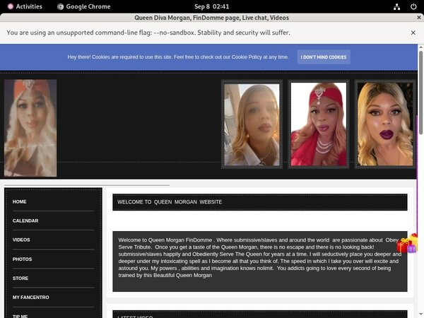 Thequeenmorgan.net Cheap