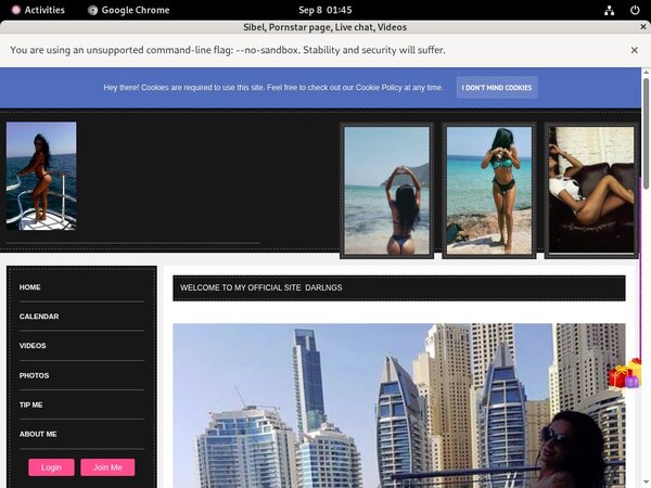 Using Paypal Sibel.modelcentro.com