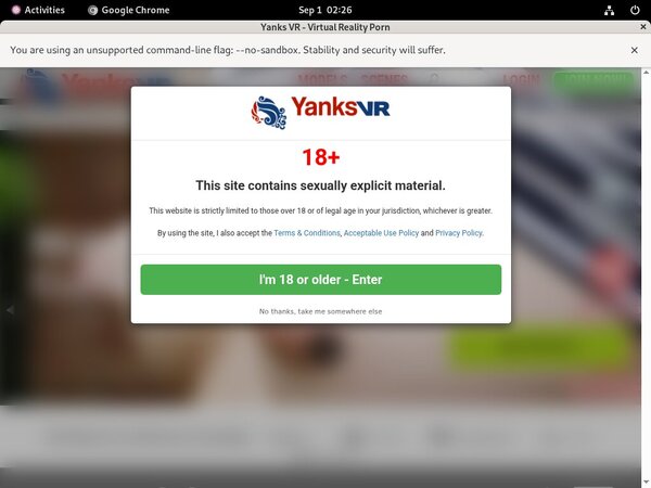 VR Yanks Sex