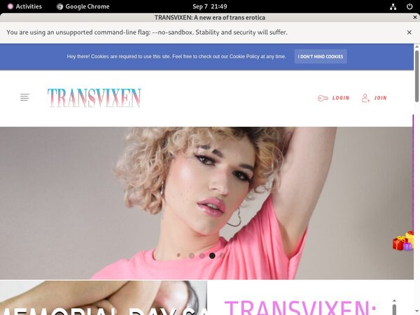Valid Transvixen Passwords Valid Transvixen Passwords