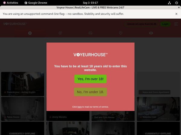 Voyeur House Epoch Paypal
