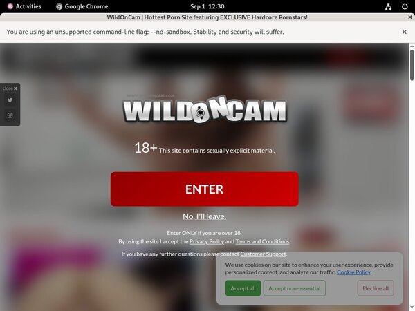 Wild On Cam With Euros